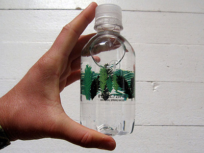 Redwood Tree Water Bottle illustration mount hermon organic redwood tree water bottle