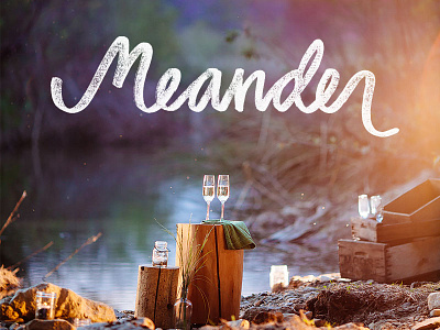 Meander Wordmark design by cosmic hand lettering photography santa cruz script typography wordmark