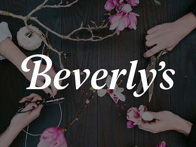 Beverly's Logo beverlys craft store fabric store logo wordmark