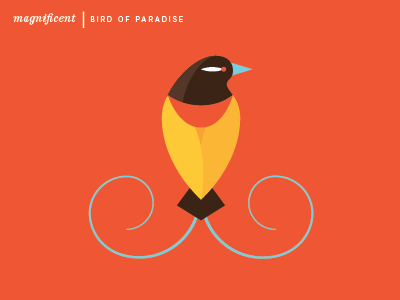 Bird of Paradise 1