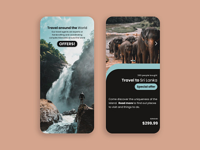 Travel App - Special Offer UI