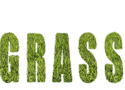 слово трава 3d card logo буквы зеленый иллюстрация латиница слово текст трава фон черный