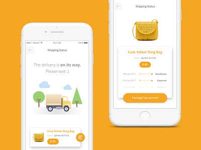 Package Delivery Status app courier delivery flat ios iphone package simple wip