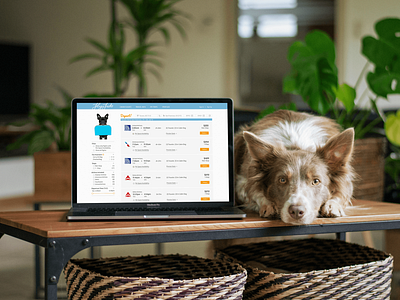 Fly Fido animal branding case study dog flight pet responsive design seating travel ux web app