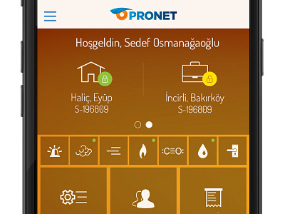 Pronet Homepage dedector mobile mobile ui pronet security ui user interface