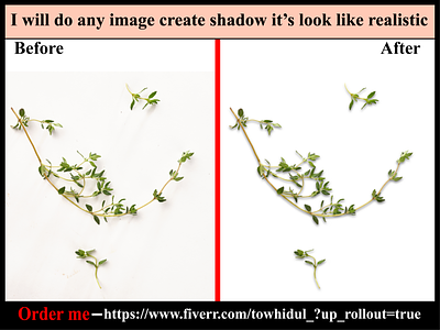 I will do shadow effect creation services quickly & low cost clipping path service color change e-comerce masking photoediting shadow type transpernt