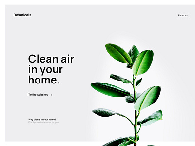 clean air app ui ux web web design web site