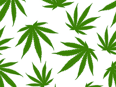 Cannabis leaves pattern background. Marijuana vector seamless pa