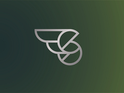 S Wing airline aviation logo logomark private jet rejected