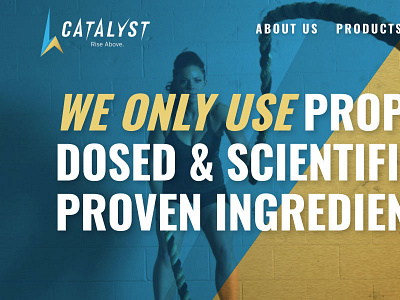 Catalyst Website Homepage Mockup
