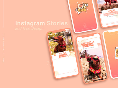 Instagram Stories and Icon Design- Lola Sweet Dachshund design icon illustration ux vector
