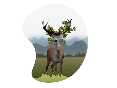 An Illustration project for Red Deer animal deer deer illustration design illustration illustrator