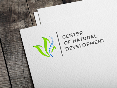 Logo design project for Natural Development Center branding center concept design development graphicdesign logo natural unique unique logo