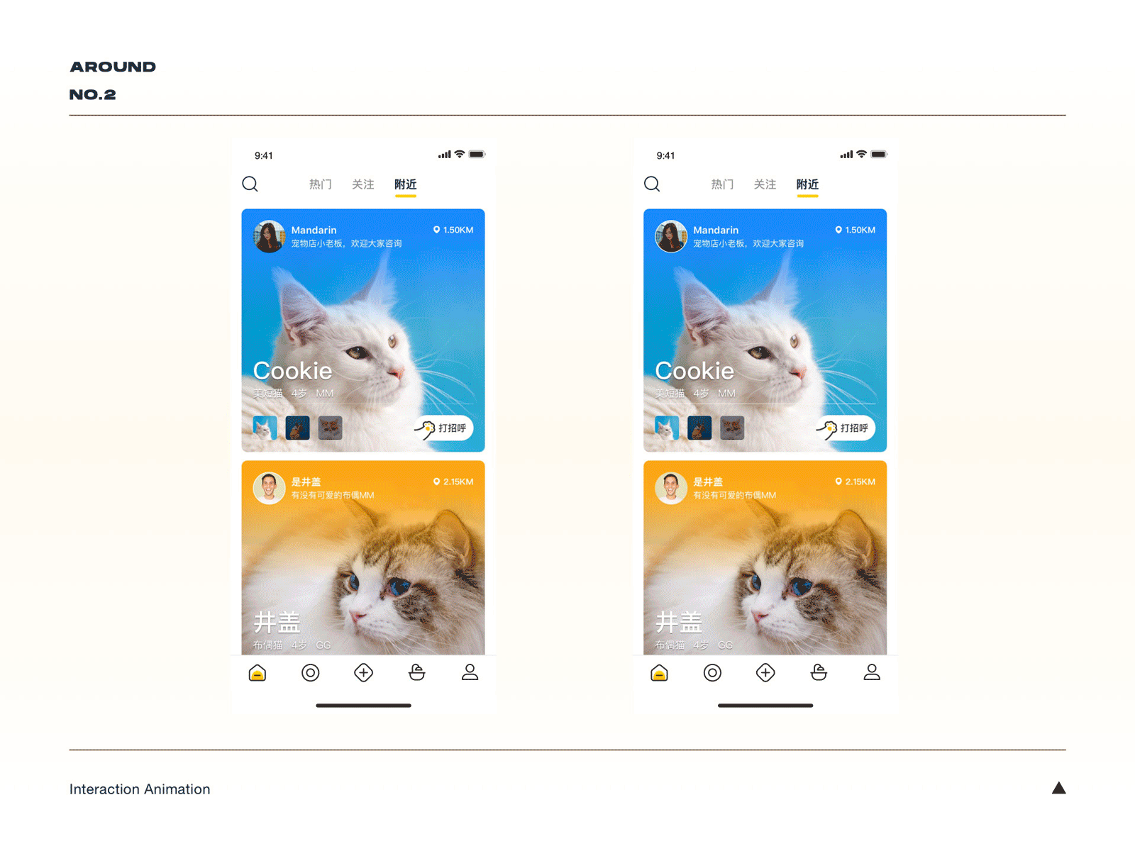 Pet App Animation animation interaction design ui