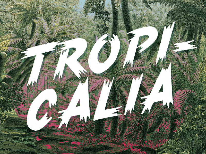 Tropicalia brush typeface