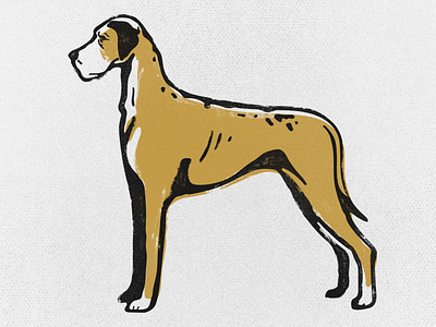 Great Dane animal dog dogs great dane icon illustration logo print screenprint