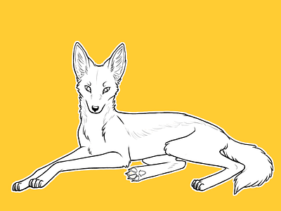 Jackal canine dog fox illustration jackal wolf