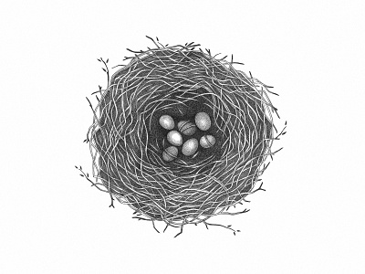 nest black and white design dotwork fineliner graphic illustration