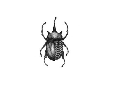 beetle black and white design dotwork fineliner graphic