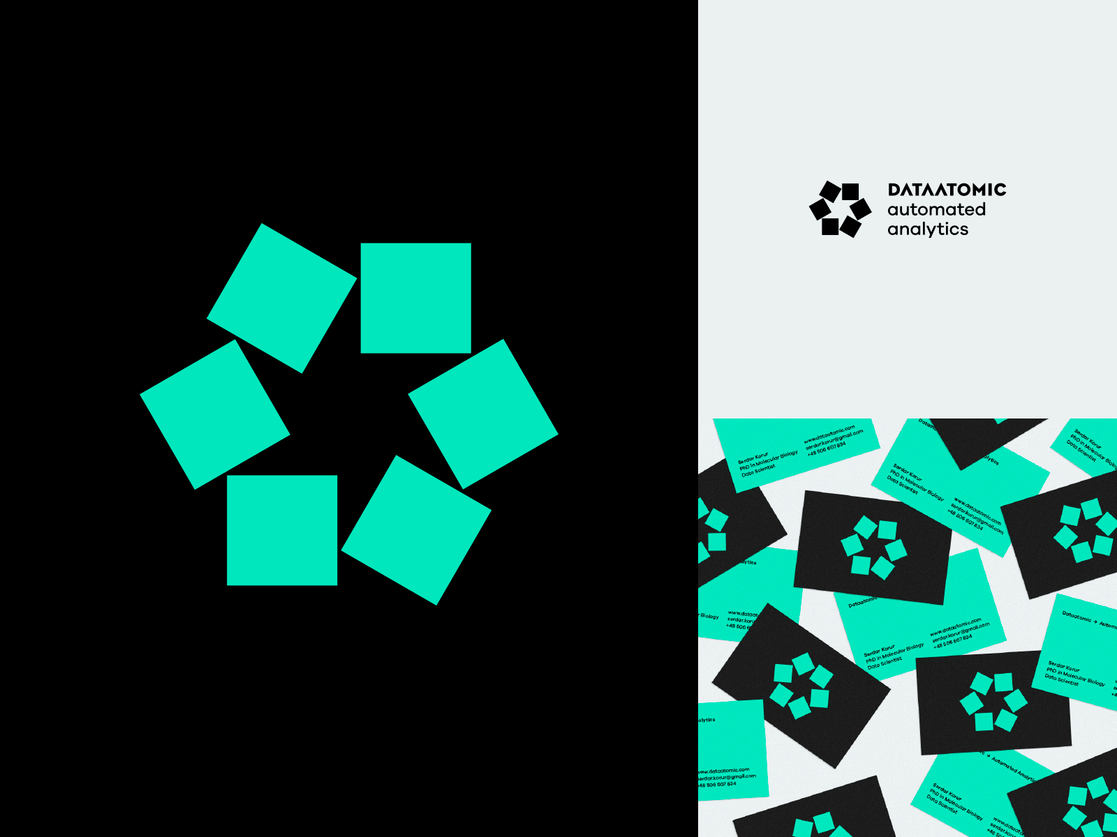 Dataatomic branding