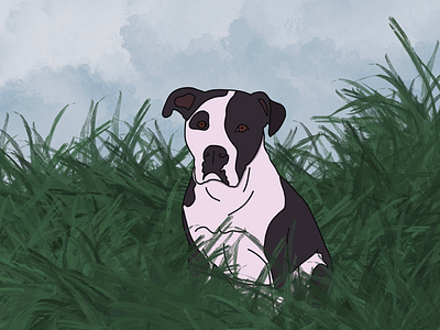 Pup dog grass portrait pup