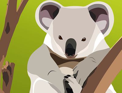 Koala is a very cute Australian animal animal art artwork design flat illustration graphic graphicdesign graphicdesigner illustration illustrator koala photoshop picture vector vector illustration vectorart