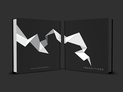 Transitions: Volume II book cover print