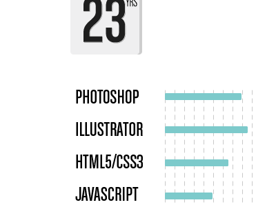 Left— Dashboard dashboard portfolio skills