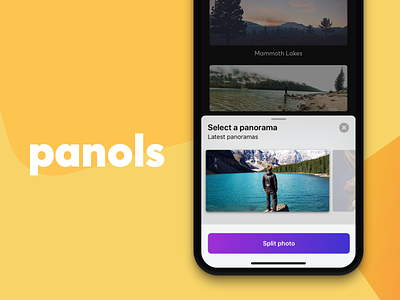 Panols Case Study app case study colors design iphone panols portfolio