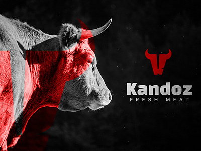 Kandoz butchery logo branding butcher logo mark