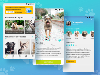 Pawfinder - adoption app adobexd app design ui ux