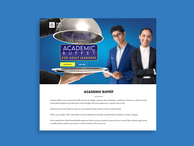 Higher Education Campaign Landing Page branding design ui web developer website wordpress