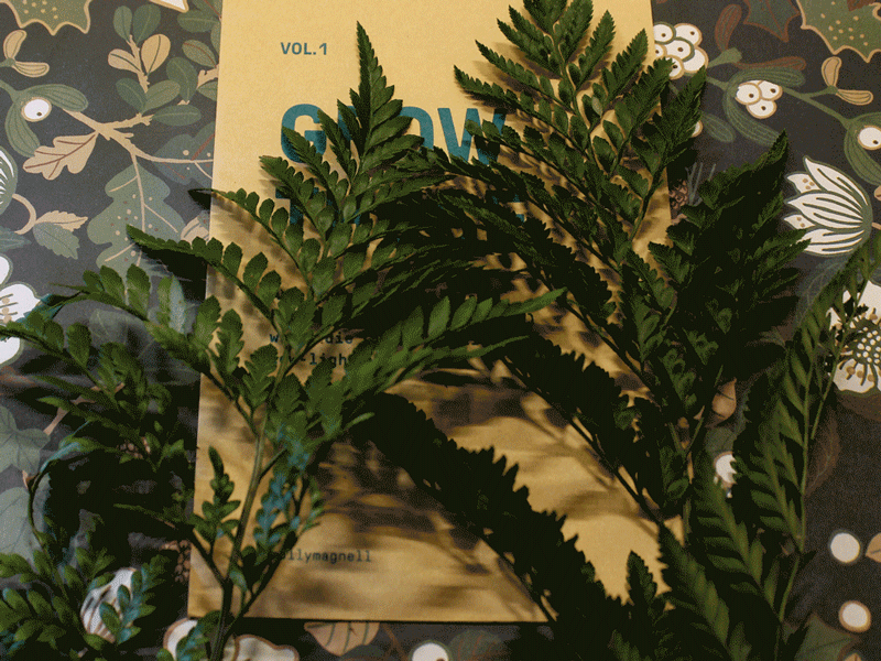 GrowThese Riso Card Pack - Reveal animation fern plant retail risograph stopmotion