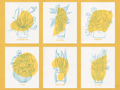 Grow These - Illustration Array chinamarker illustration illustrator plant risograph shape shape elements