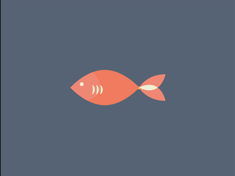 fish :( fish food gif icons infographic