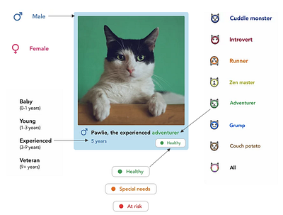 Automatic description system for a cat adoption website cats design ui web