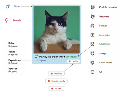 Automatic description system for a cat adoption website