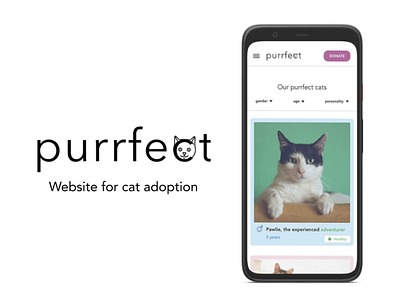 Cat adoption website cats design logo ui ux