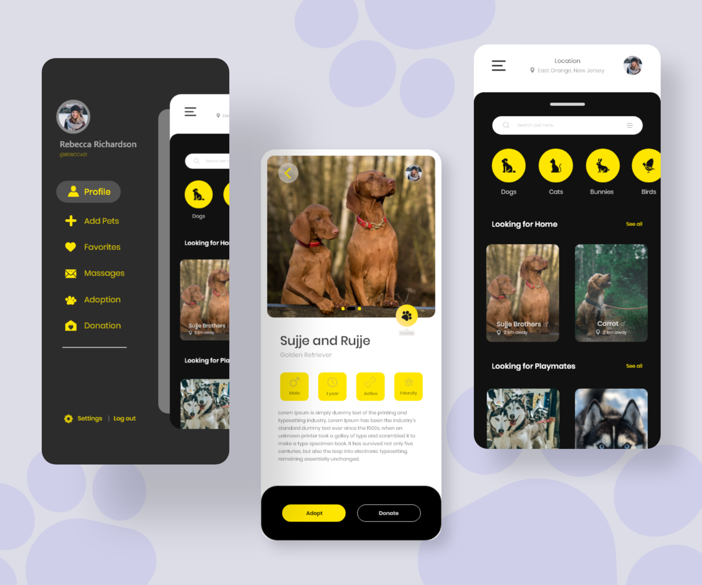 Pet adoption App - UI concept by SAKIB | Idea's Lab on Dribbble
