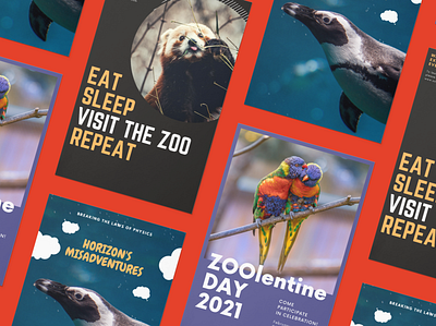Zoo animals poster zoo