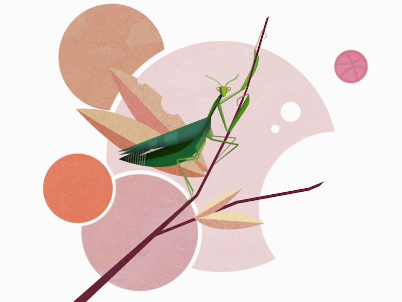 Chill Mantis animal animated gif chill gif insect mantis nature pastel zen