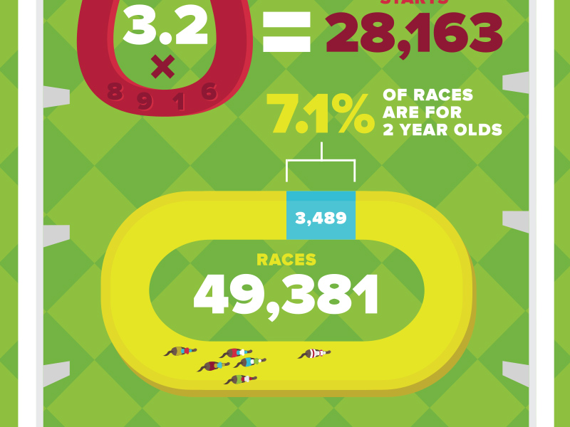 Road To the Derby Infographic by Danielle Podeszek on Dribbble