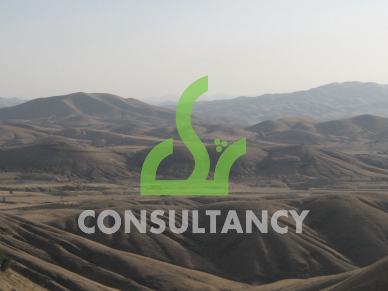 CSR Consultancy banner by Chris Kobar on Dribbble