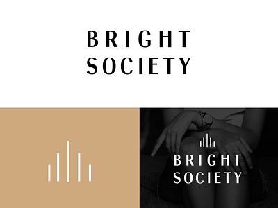 Logo Lockup: Bright Society branding color palette identity logo logos