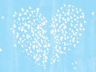 Birds birds break heart love