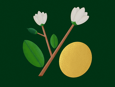 Lemon artwork botanical colors design flat illustration illustrator lemon minimal nature procreate textures vector