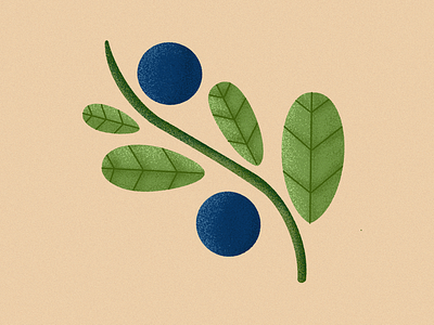 Blueberry art blueberry botanical botany colors design flat fruits illustration minimal nature plants textures