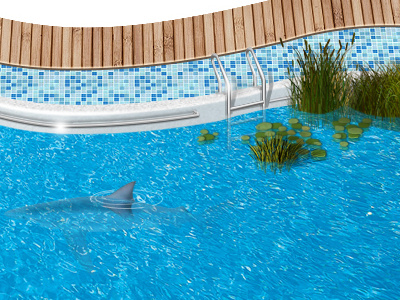 Pool (spring) illustration pool shark water web design