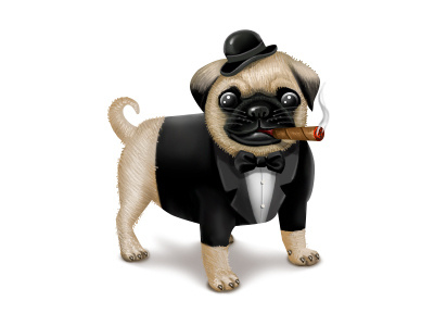 Pug cigar dog hat icon illustration pug puppy suit