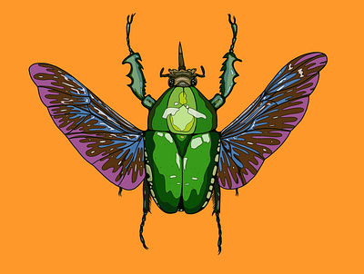 Beetle art bold colourful design drawing illustraion illustrator insect nature procreate procreate art procreate illustration procreateapp wildlife